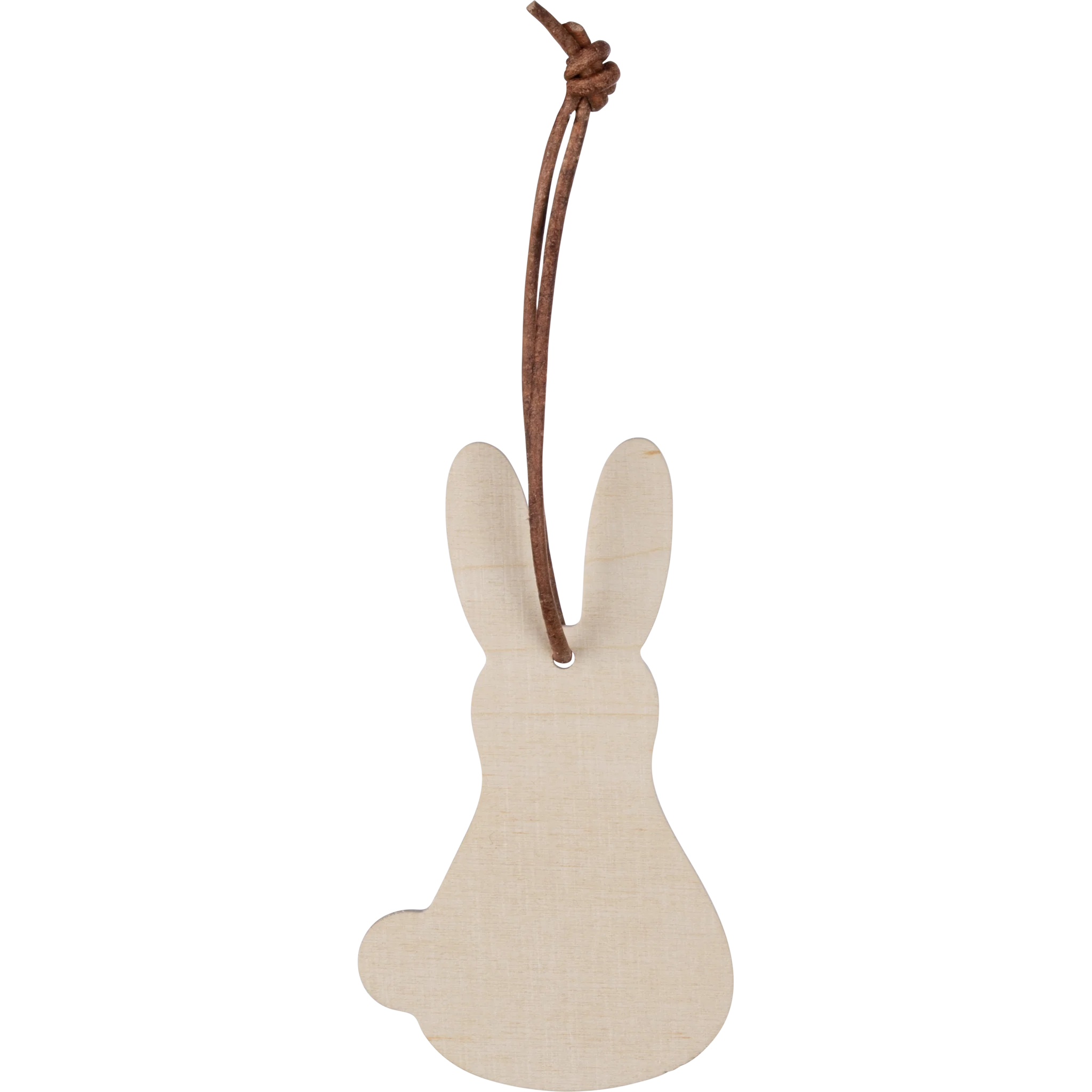 Pikkukuva 1