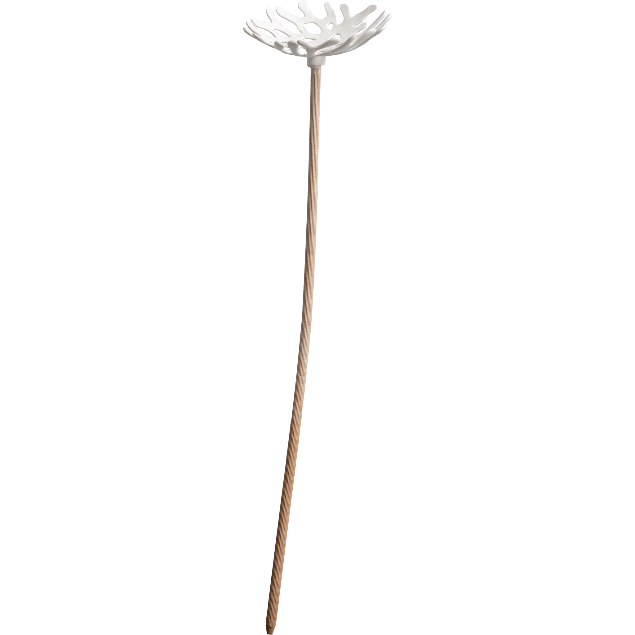 Pikkukuva 1